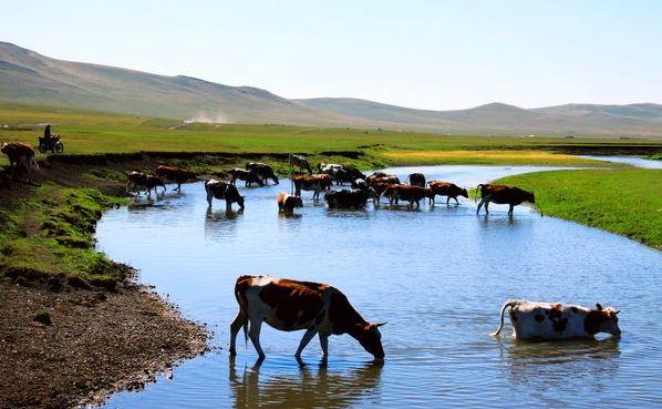 内蒙古,千里草原的壮美与豪情万丈的塞外风光