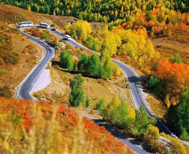 丝路秘境探奇，新疆之旅，邂逅丝路风情