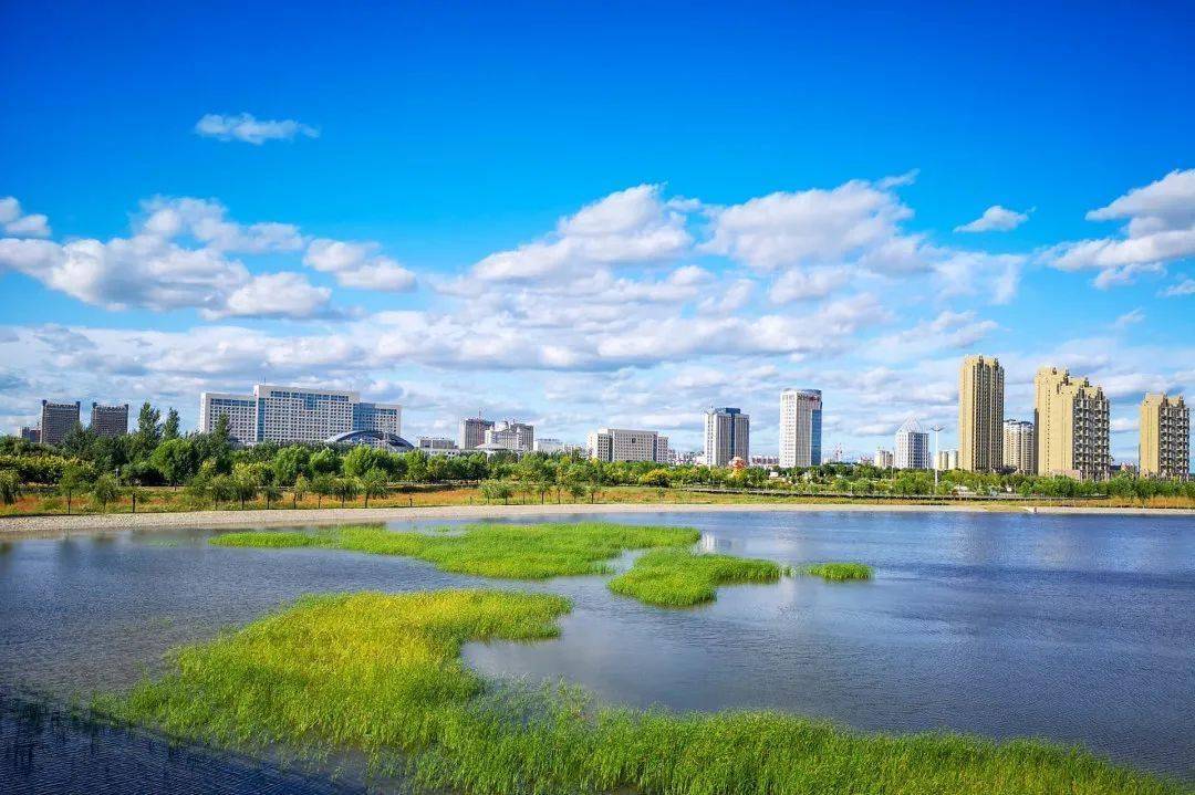 通辽任务指南，初学者与进阶用户的学习某项任务或技能的详细步骤手册