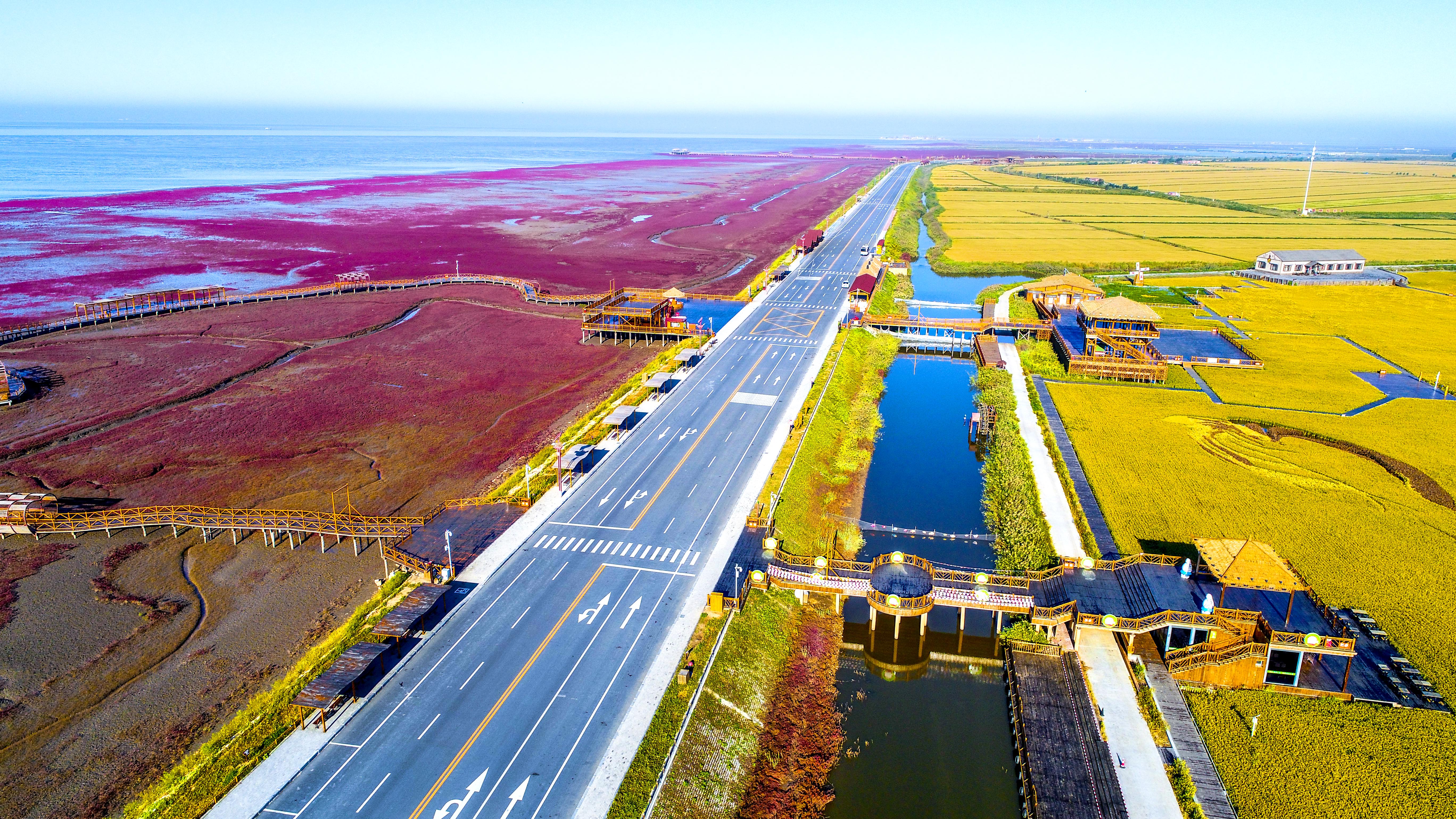 盘锦,湿地之都的生态之旅