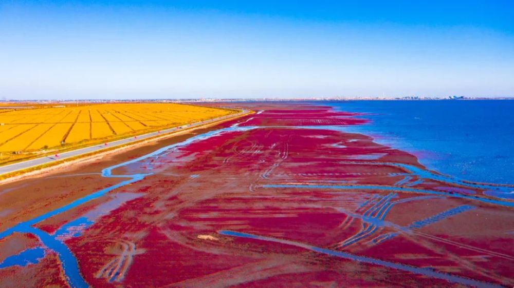 盘锦,湿地之都的生态之旅